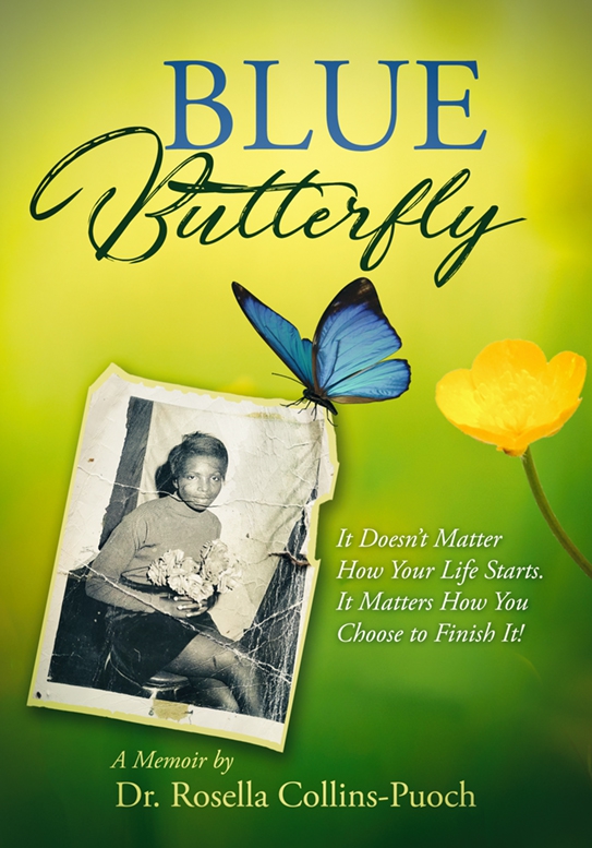 Blue Butterfly book cover